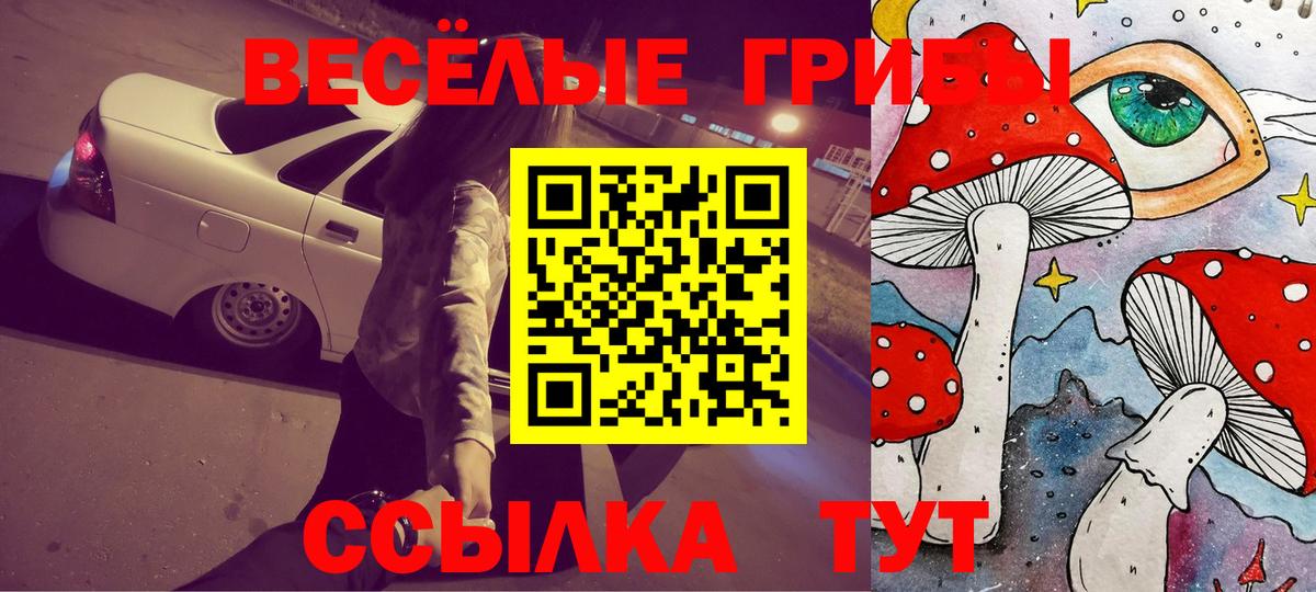 Галлюциногенные грибы GOLDEN TEACHER  Вход с VPN  Лангепас  Галлюциногенные грибы Psilocybe 