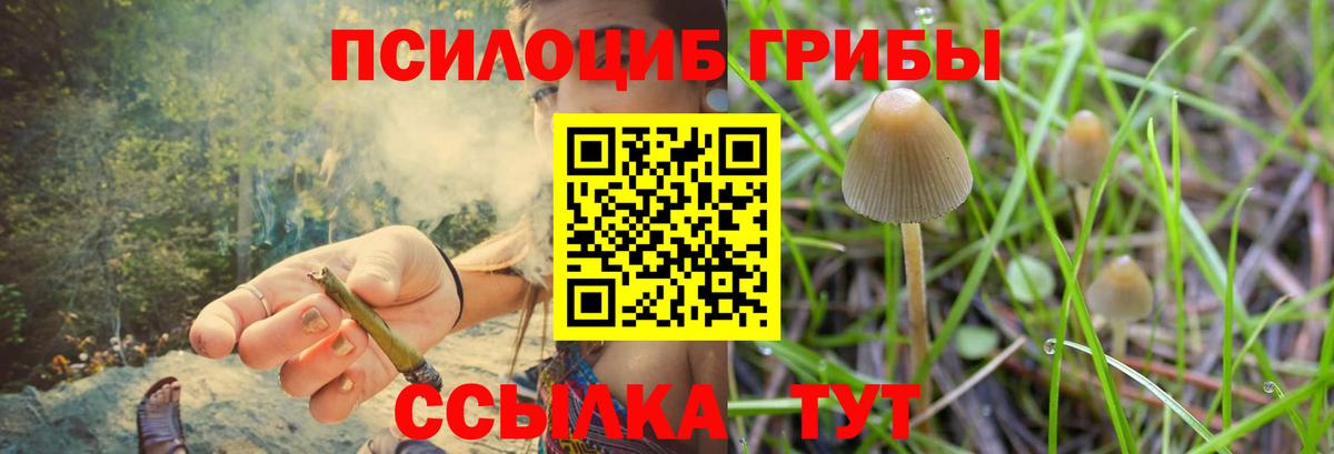 Галлюциногенные грибы MAGIC MUSHROOMS Лангепас